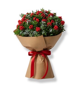 izmir çiçekçi, bornova çiçekçi, izmir çiçek siparişi